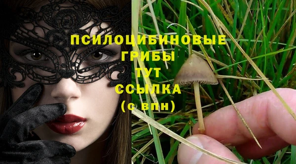мет Богданович
