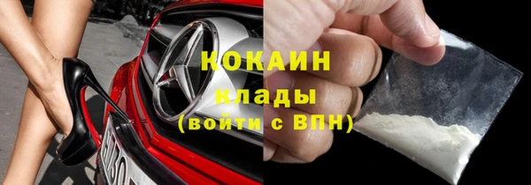 стаф Богородск