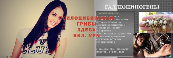 стаф Богородск