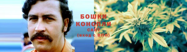 стаф Богородск