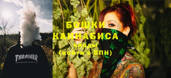 стаф Богородск