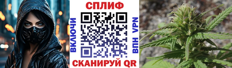 Конопля гибрид магазин продажи Старый Оскол